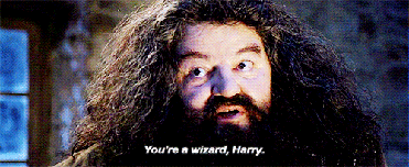 Harry Potter Hagrid Yer a Wizard