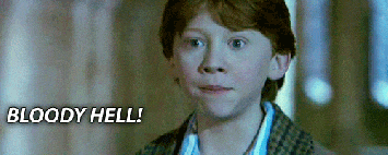 Harry Potter Ron Bloody Hell