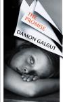 Promise Damon Galgut